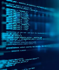 Custom Coding Services